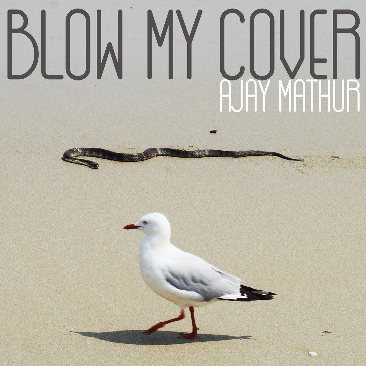 Ajay Mathur ‘Blow My Cover’ album artwork