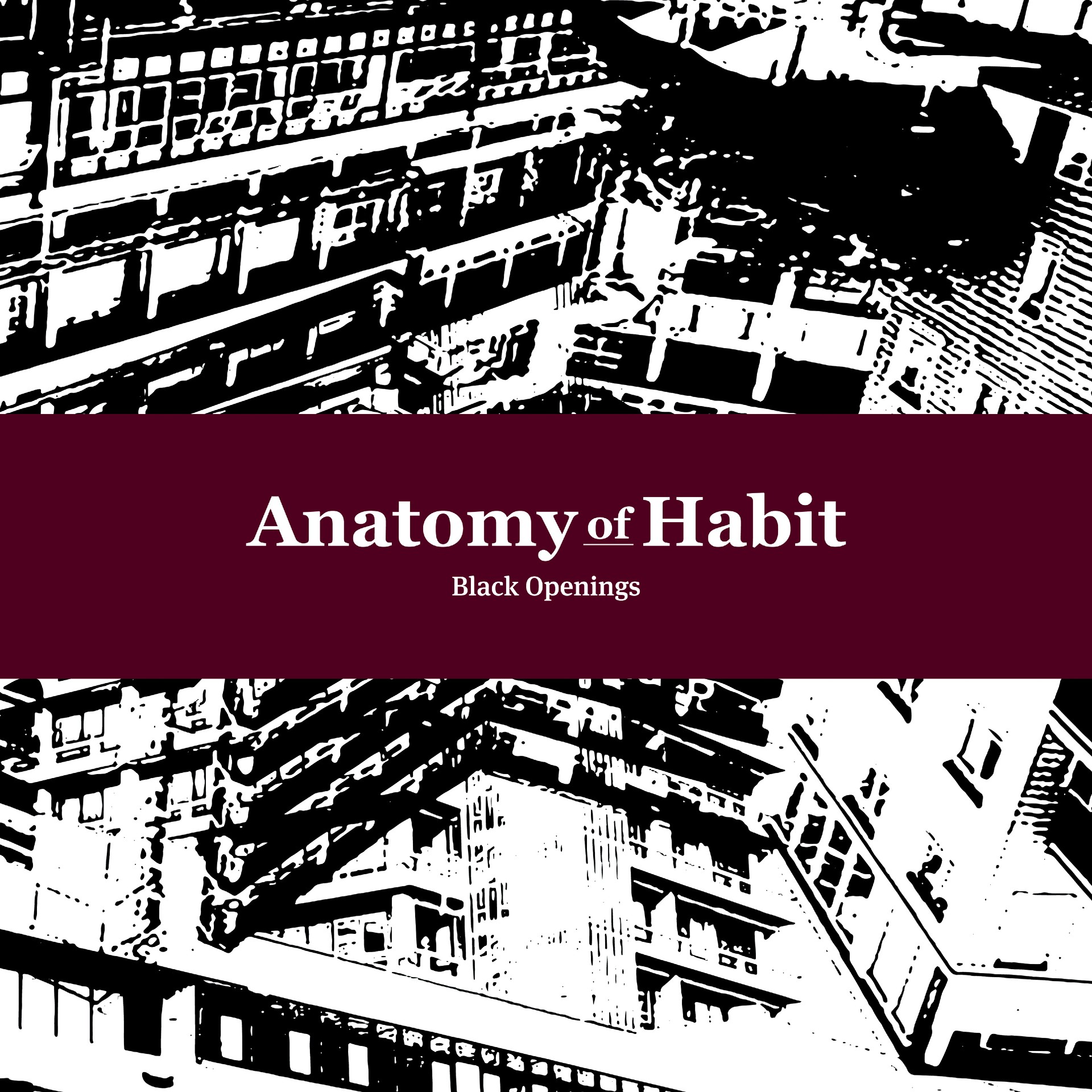 Artwork for the album ‘Black Openings’ by Anatomy of Habit