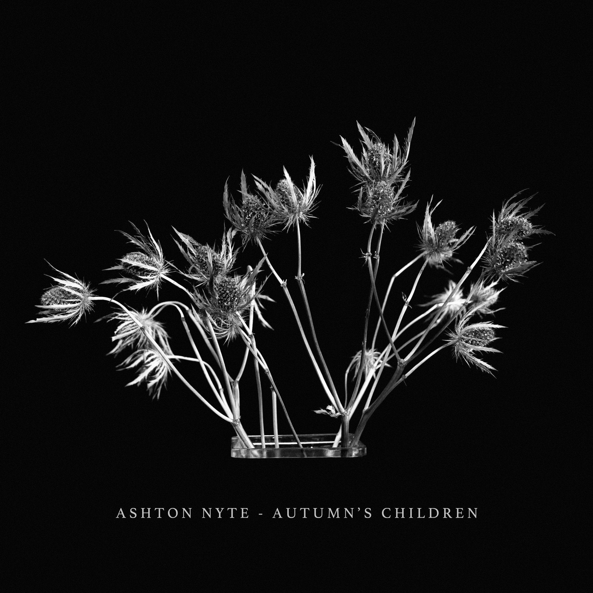 Ashton Nyte ‘Autumn’s Children’ album artwork