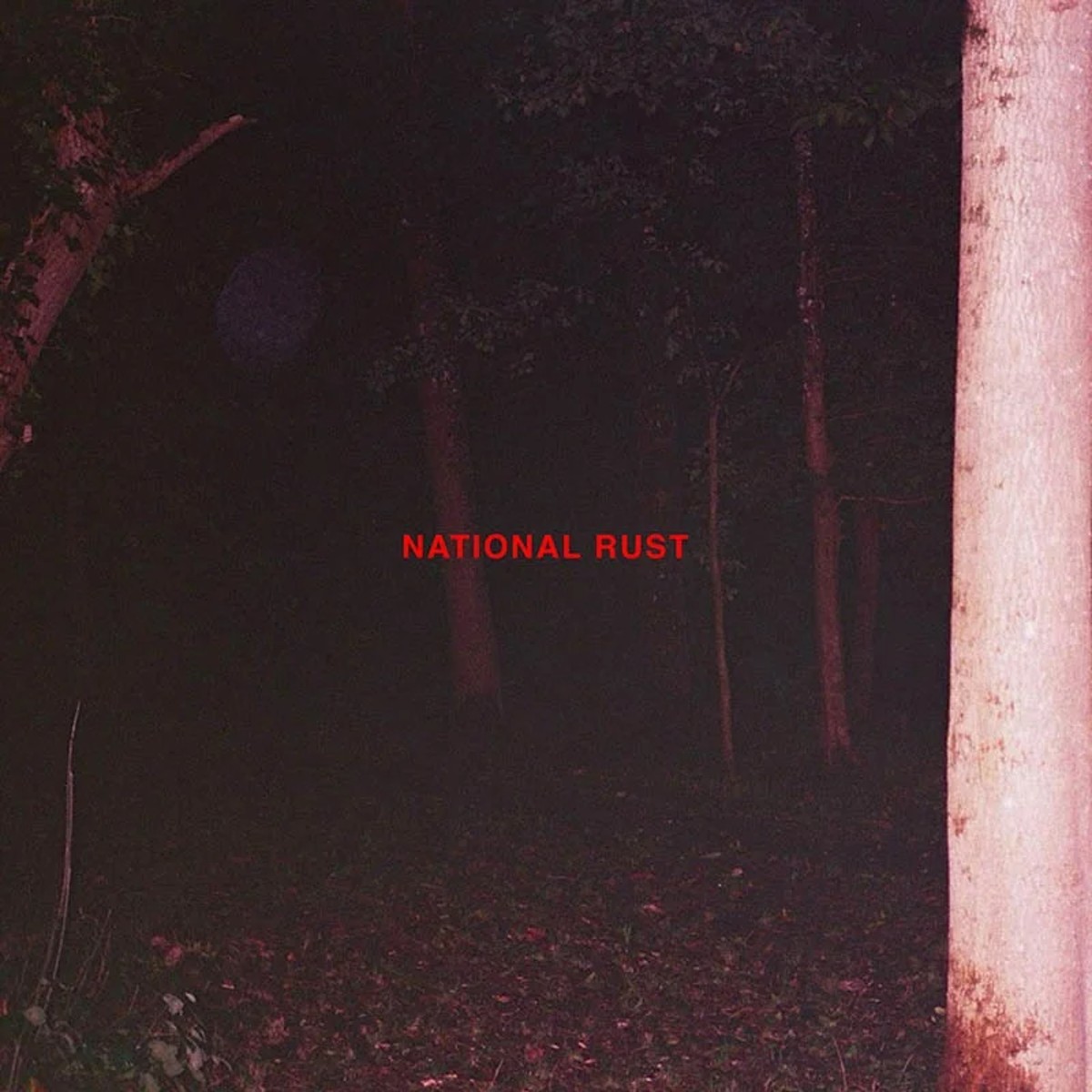 Buzzard Buzzard Buzzard “National Rust” single artwork
