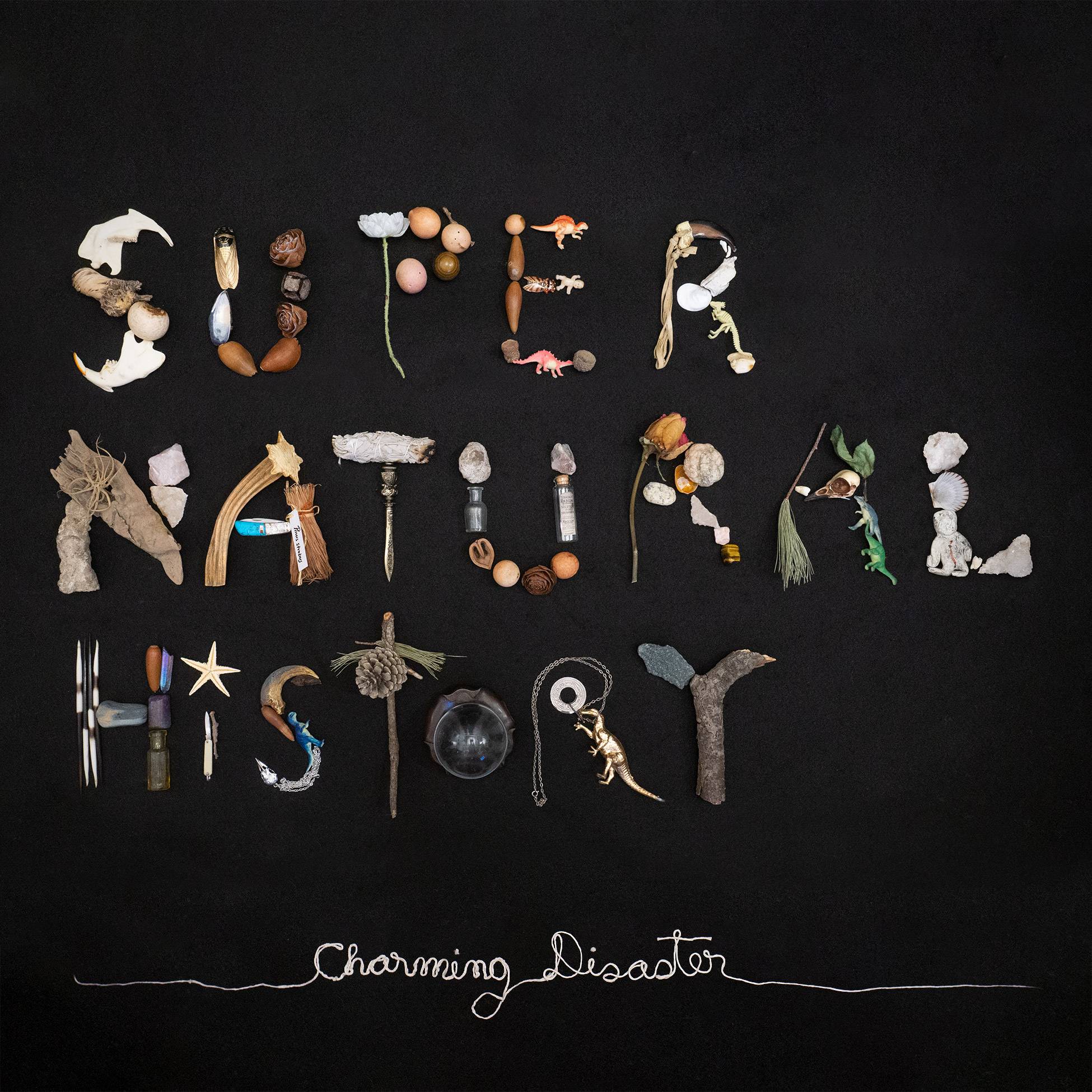 Artwork for the album ‘Super Natural History’ by Charming Disaster