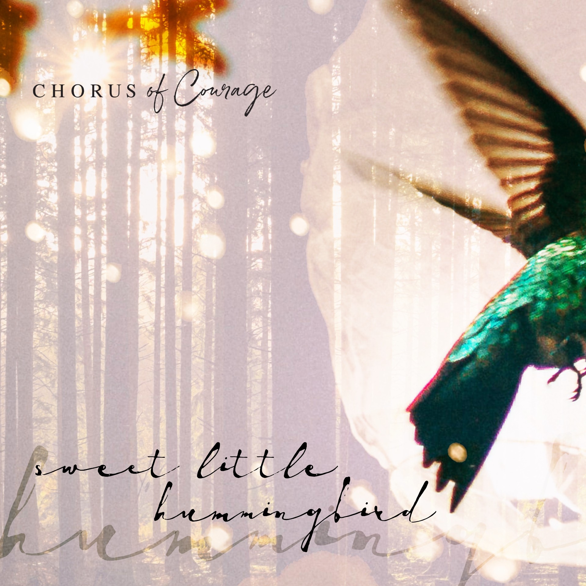 Chorus of Courage “Sweet Little Hummingbird” single artwork