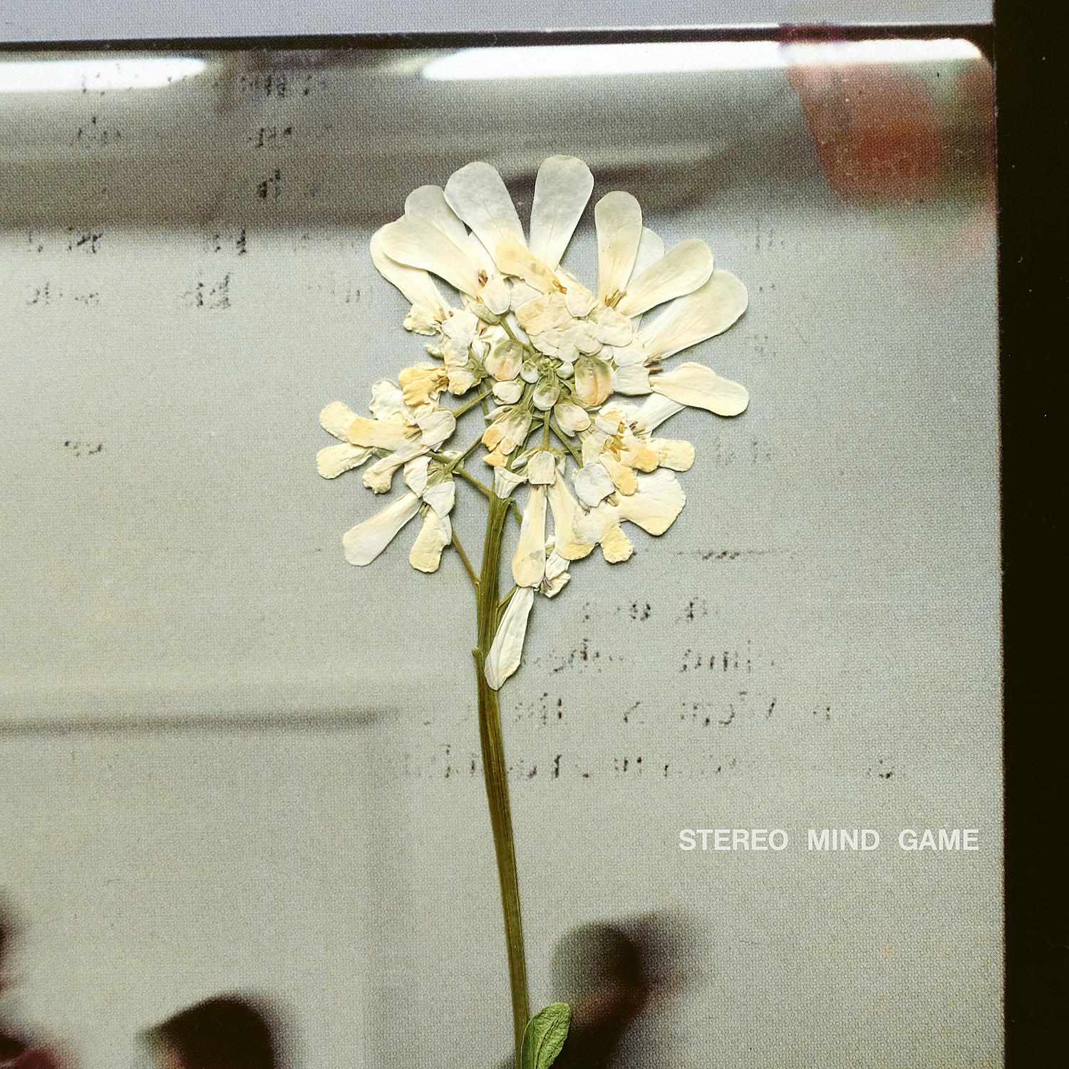 Artwork for the album ‘Stereo Mind Game’ by Daughter