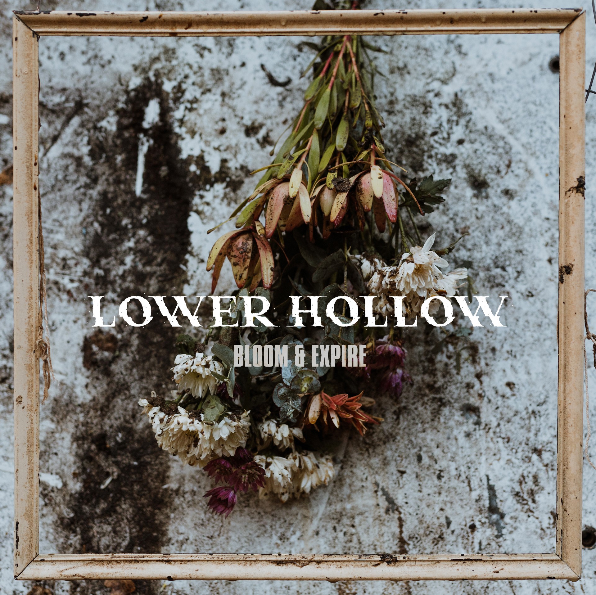 Artwork for the album ‘Bloom & Expire’ by Lower Hollow