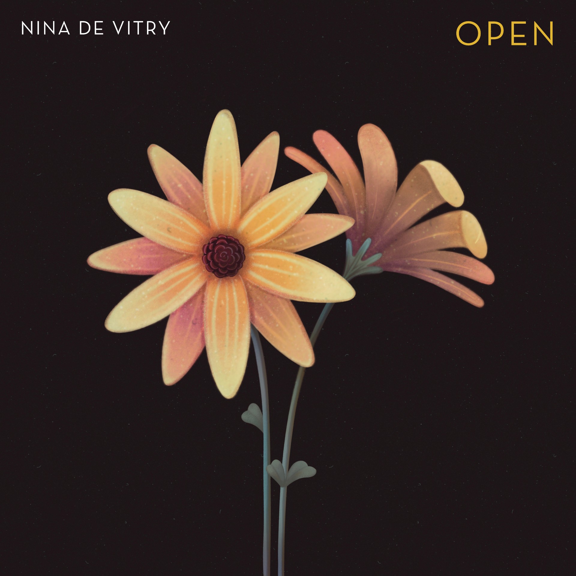 Nina de Vitry “Open” single artwork, image by Madeline Bechtel