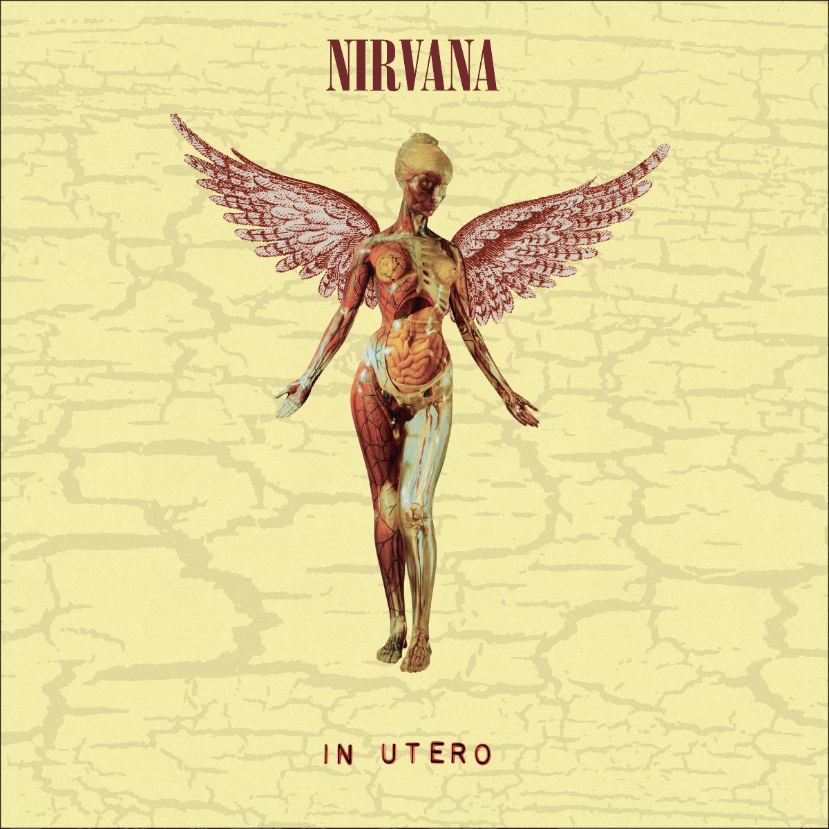 Nirvana ‘In Utero’ album artwork