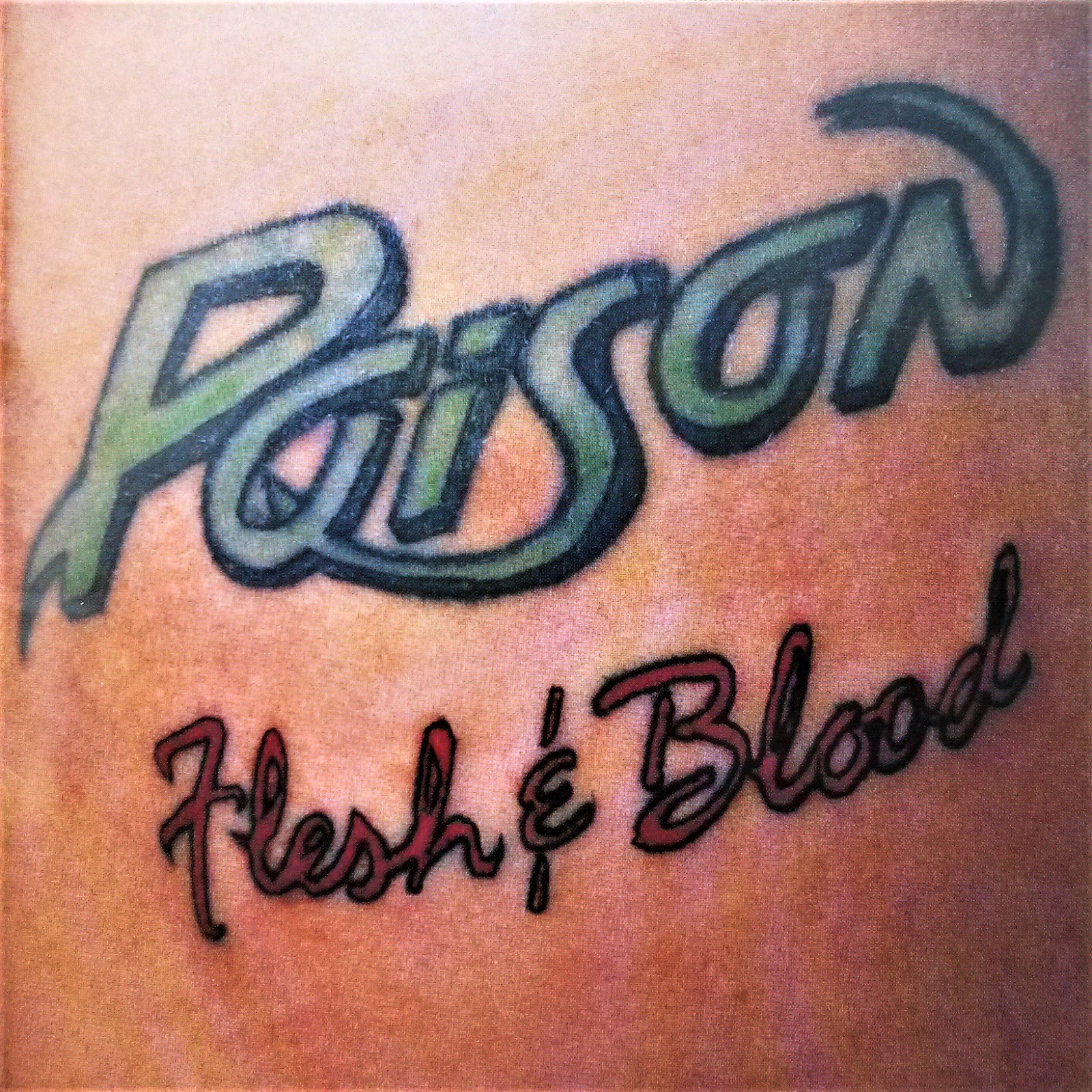 Poison Flesh Blood Retro Album Review V13 Net