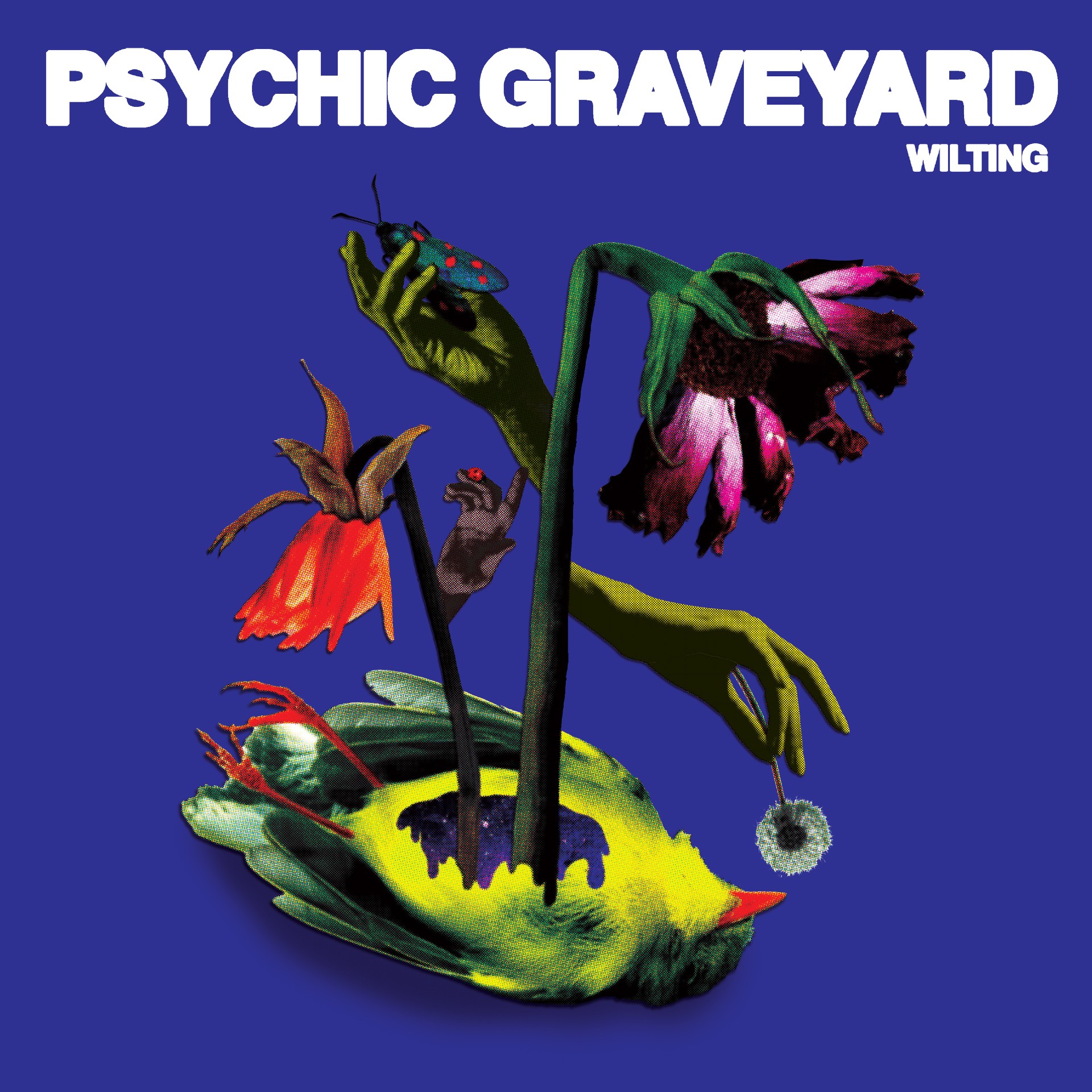Psychic Graveyard ‘Wilting’ album artwork