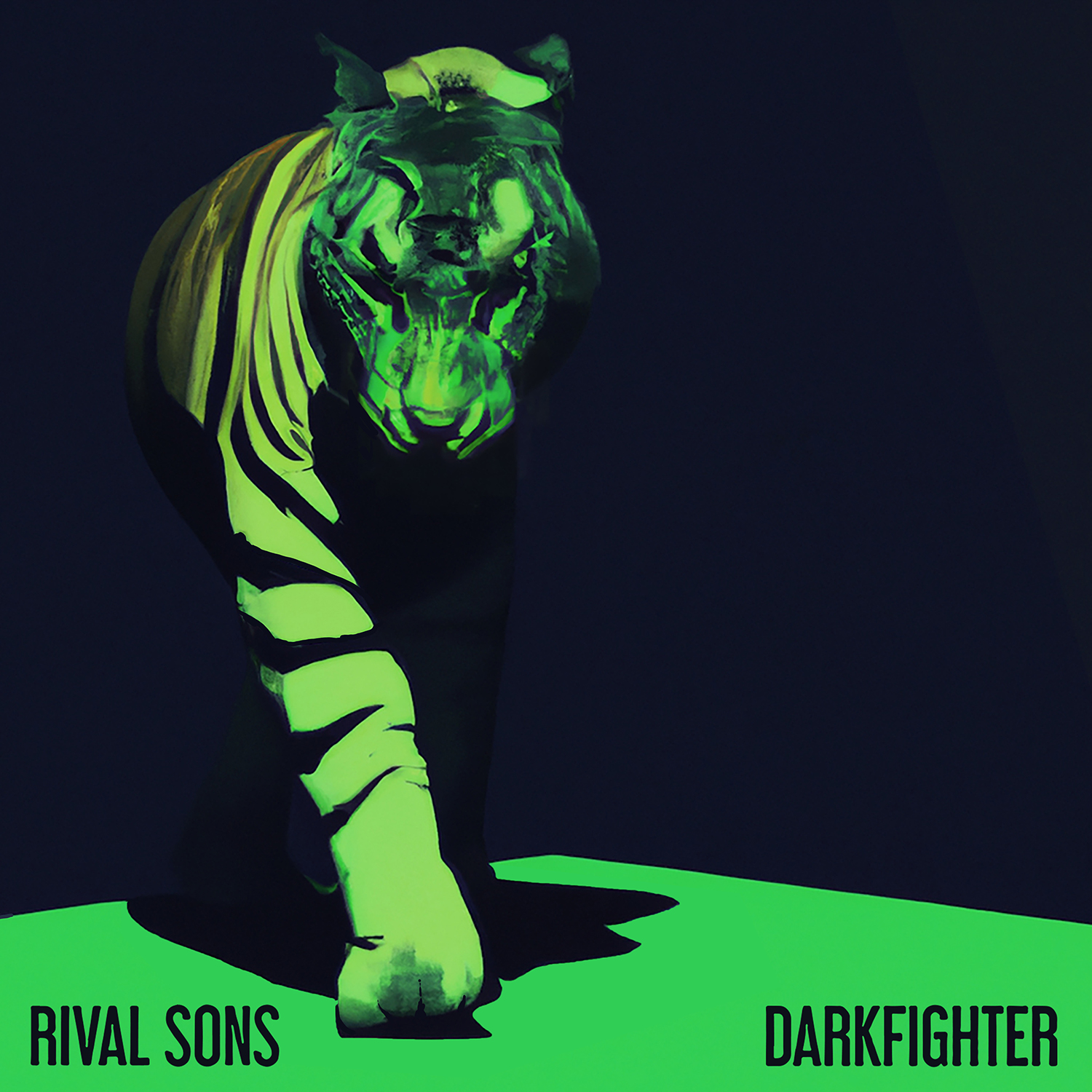 Rival Sons “DARKFIGHTER” Album Artwork