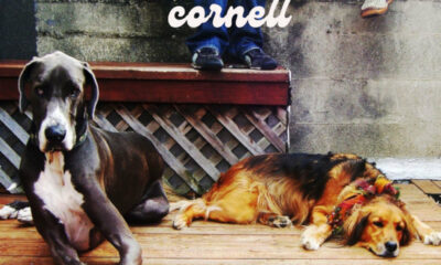 Stevie Cornell ‘Some Sweet Dream’ album artwork