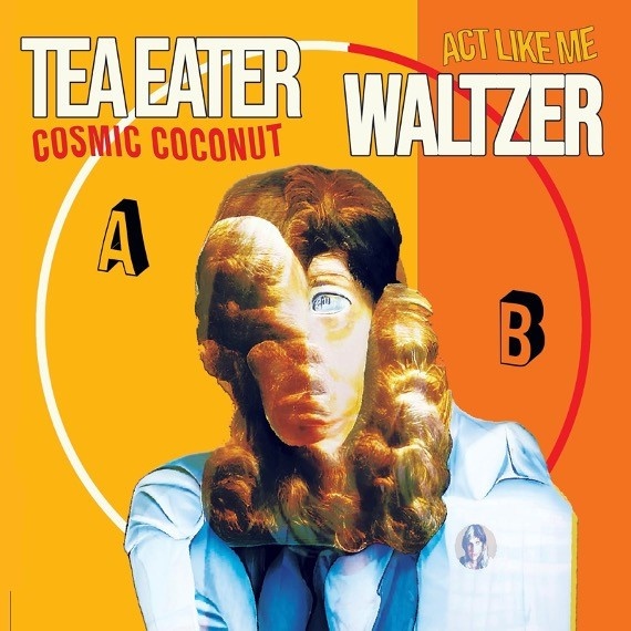 Tea Eater and Walter "Cosmic Coconut" single artwork