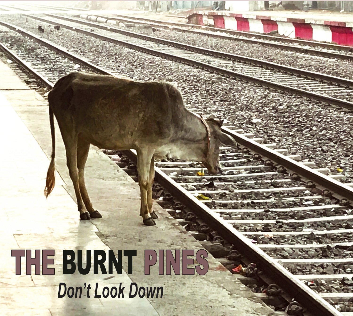Artwork for the album ‘Don’t Look Down’ by The Burnt Pines