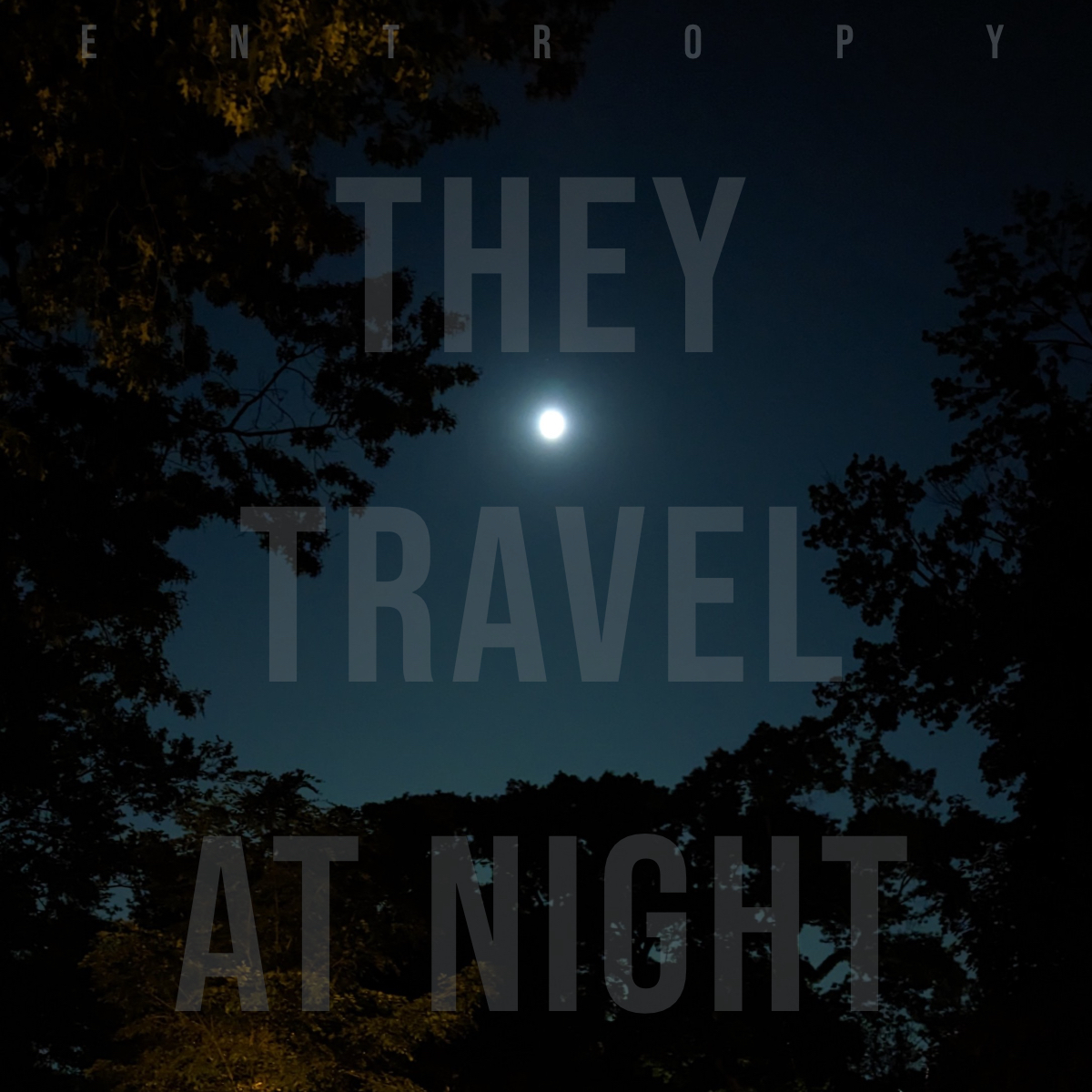 They Travel at Night ‘Entropy’ EP album artwork