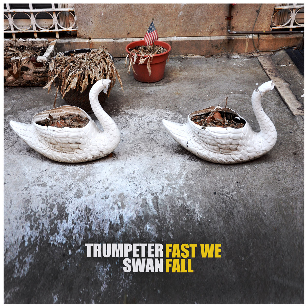 Trumpeter Swan ‘Fast We Fall’ album artwork