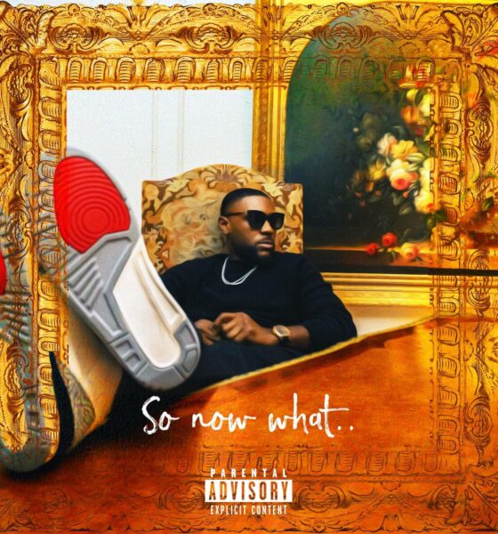 Vi City ‘So Now What..’ album artwork
